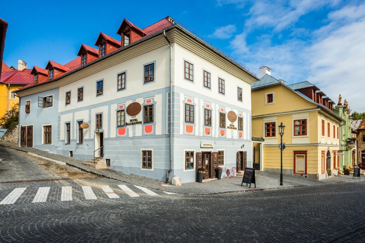 蝾螈酒店 Banská Štiavnica 外观 照片